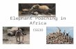 Elephant Poaching in Africa CGG3O. Why? Elephant ivory has been used by humans for millennia for various purposes In the 19th and early part of the 20th.