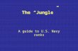 The “Jungle” A guide to U.S. Navy ranks. Gazelles = Ensigns Although easily frightened, they have been known to stupidly lounge in plain sight of the.