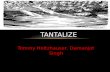 Tommy Holtzhauser, Damanjot Singh TANTALIZE. TANTALUS AND THE PELOPS Tantalus stole ambrosia from the gods which offended them, so he was punished by.