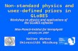 Non-standard physics and user- defined priors in GLoBES Workshop on physics and applications of the GLoBES software Workshop on physics and applications.