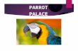 PARROT PALACE. ERD of Parrot Palace Information System.