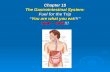 Chapter 15 The Gastrointestinal System: Fuel for the Trip “You are what you eat!!!” oink----oink!!!