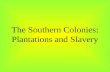 The Southern Colonies: Plantations and Slavery. Wealthy land owners produced all they needed on their plantations, and appeared to be independent. But.