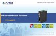 Industrial Ethernet Extender IVC-2004PT. Presentation Outline  What is Ethernet Extender ?  Product Overview  Product Benefits  Product Features