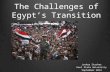 The Challenges of Egypt’s Transition Joshua Stacher Kent State University September 2014.