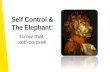 Self Control & The Elephant: Grow that self-control! Giuseppe Arcimboldo (1593, Italy)