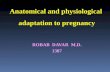 ROBAB DAVAR M.D. 1387 Anatomical and physiological adaptation to pregnancy.