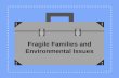 Fragile Families and Environmental Issues. Jennifer L. Baker, Psy.D. Anne B. Summers, Ph.D. Debbi Steinmann, M.A. Training Instructor / Mentors Melissa.