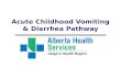 Acute Childhood Vomiting & Diarrhea Pathway. Presentation Outline  How Pathway developed?  Typical Case Your current practice…..  Why is a pathway.