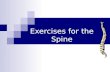 Exercises for the Spine. Abdominal Exercises Effective sit-ups emphasis lumbar flexion of the abdominal muscles Hip flexor muscles (e.g. iliopsoas) can.