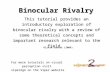 Binocular Rivalry This tutorial provides an introductory exploration of binocular rivalry with a review of some theoretical concepts and important research.