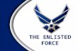 THE ENLISTED FORCE Overview Enlisted Force Foundation US Air Force Enlisted Force Evolution World War II The Career Force CMSAF and SEAs The Enlisted.