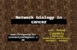 Prof. Peter Csermely LINK-Group, Semmelweis University, Budapest, Hungary Network biology in cancer  csermelynet@gmail.com.
