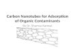Carbon Nanotubes for Adsorption of Organic Contaminants By Dr. Shamsa Kanwal.