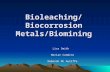 Bioleaching/Biocorrosion Metals/Biomining Lisa Smith Marian Cummins Deborah Mc Auliffe.