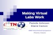 Making Virtual Labs Work Pamela Johnson Elaine Carson 2008 Virtual School Symposium Phoenix, Arizona.