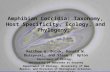 Amphibian Coccidia: Taxonomy, Host Specificity, Ecology, and Phylogeny. Matthew G. Bolek, Donald W. Duszynski, and Steve J. Upton Department of Biology,