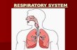 RESPIRATORY SYSTEM RESPIRATORY SYSTEM. PARTS OF THE RESPIRATORY SYSTEM Nasal Cavity Nasal Cavity Epiglottis Epiglottis Pharynx Pharynx Larynx Larynx Trachea.