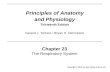 Principles of Anatomy and Physiology Thirteenth Edition Chapter 23 The Respiratory System Copyright © 2012 by John Wiley & Sons, Inc. Gerard J. Tortora.