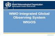 Dr W.Zhang, D/OBS1 World Meteorological Organization Working together in weather, climate and water WMO Integrated Global Observing System WIGOS .