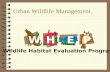 Urban Wildlife Management PEWH Wildlife Habitat Evaluation Program.
