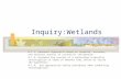Inquiry:Wetlands B-1.1: Generate Hypothesis based on credible, accurate, and relevant sources of scientific information. B-1.6: Evaluate the results of.