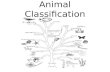 Animal Classification THE ANIMAL KINGDOM BASIC CHARACTERISTICS OF ANIMALS: 1. 2. 3. NINE ANIMAL PHYLA INVERTEBRATES: VERTEBRATES (CORDATES): (1 phylum)