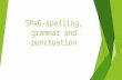 SPaG-spelling, grammar and punctuation. The SPAG test includes questions that assess the following elements of the English curriculum:  Sentence grammar.