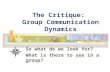 The Critique: Group Communication Dynamics So what do we look for? What is there to see in a group?