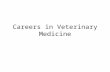 Careers in Veterinary Medicine. Three Major Tracks Veterinarian Practice Specialty Industrial Government Veterinary Technician Veterinary Assistant.
