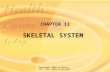 Copyright 2003 by Mosby, Inc. All rights reserved. CHAPTER 13 SKELETAL SYSTEM.