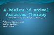 Hippotherapy and Dolphin Therapy Antonia Giannakakos Paula Gaglioti Erin Stutz.