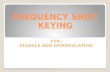 FREQUENCY SHIFT KEYING FSK: SIGNALS AND DEMODULATION.