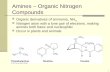 1 Amines – Organic Nitrogen Compounds Organic derivatives of ammonia, NH 3, Nitrogen atom with a lone pair of electrons, making amines both basic and nucleophilic.