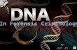 MH SBI 4U (DNA) Deoxyribonucleic acid DNA is thought of as a “recipe for life” DNA is the nucleic acid that contains the genetic instructions that bring.