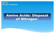 Amino Acids: Disposal of Nitrogen UNIT IV: Nitrogen Metabolism.
