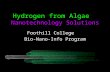 Hydrogen from Algae Nanotechnology Solutions Foothill College Bio-Nano-Info Program.