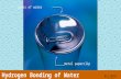 Glass of water metal paperclip Hydrogen Bonding of Water 012-10993 r1.04.