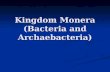 Kingdom Monera (Bacteria and Archaebacteria). Prokaryotes The smallest and most common of cells are prokaryotes. They: Exist almost everywhere on earth.