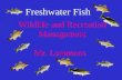 Wildlife and Recreation Management Mr. Lemmons Freshwater Fish.