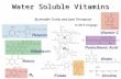 Water Soluble Vitamins By Jennifer Turley and Joan Thompson © 2013 Cengage.