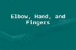 Elbow, Hand, and Fingers. AnatomyAnatomy MotionsMotions InjuriesInjuries EvaluationEvaluation RehabilitationRehabilitation.