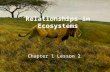Relationships in Ecosystems Chapter 1 Lesson 2. GLE 0507.2.1: Investigate different nutritional relationships among organisms in an ecosystem. GLE 0507.2.2: