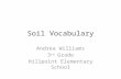Soil Vocabulary Andrea Williams 3 rd Grade Hillpoint Elementary School.