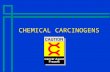 CHEMICAL CARCINOGENS CHEMICAL CARCINOGENS. What is a Chemical Carcinogen?  Any chemical compound which has been shown to cause cancer in humans or in.