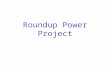 Roundup Power Project. Development Participants (Bank’s independent consultant)