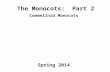 The Monocots: Part 2 Commelinid Monocots Spring 2014.
