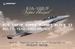 155405-005 F/A-18E/F SUPER HORNET BLOCK II MULTI-YEAR PROCUREMENT 161245.