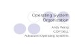 Operating System Organization Andy Wang COP 5611 Advanced Operating Systems.