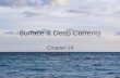 Surface & Deep Currents Chapter 14 Section 1. Bellringer How does the density of ocean water affect deep currents?
